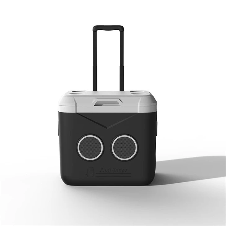 picnic cooler box