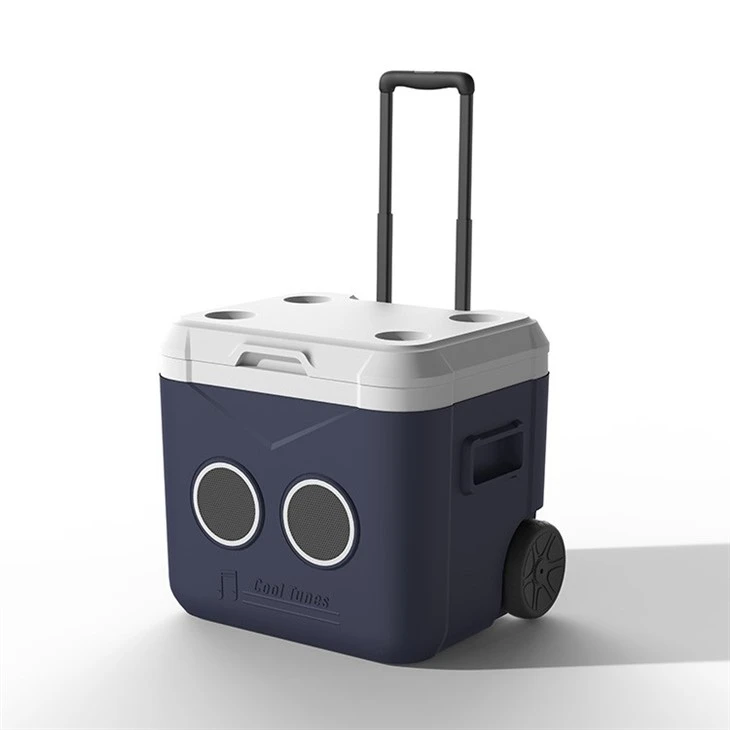 cooler box with speaker